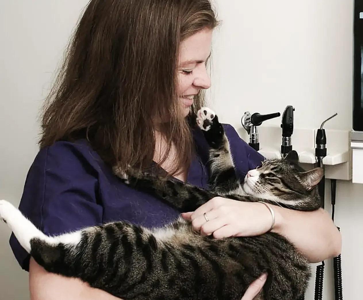 Cat's Only staff member cuddles cat lovingly while viewing x-ray results - Mt. Zion, IL